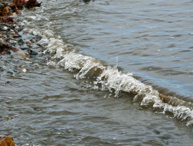 A close up of the three inch high waves. I am sure that storms bring in more serious waves.