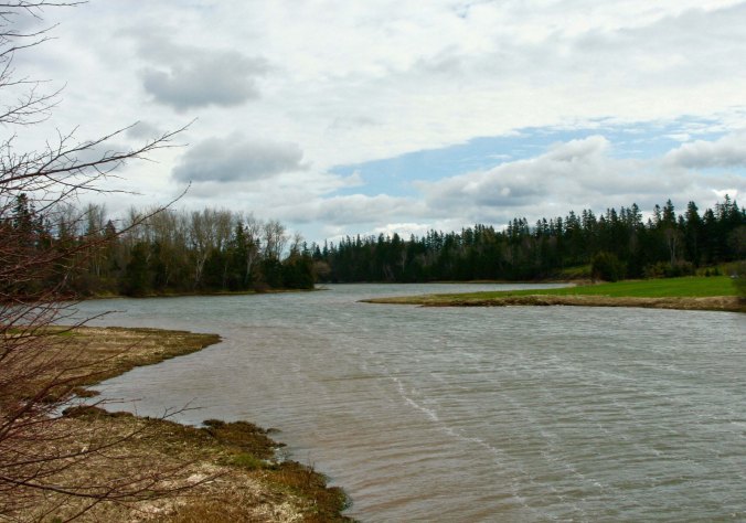 This river reflected the rain the island was receiving. Interestingly, drinking water is primarily ground water pumped up from wells.