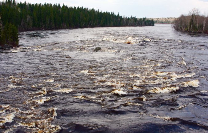Rapids suggested this river might be fun to raft.