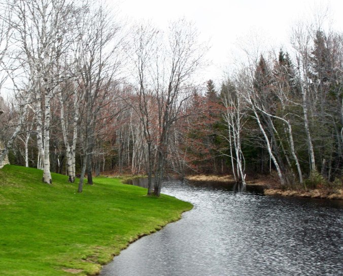 Although I selected the first part of my route across New Brunswick for speed (speed being relative at 10-15 miles per hour) instead of scenic beauty, there were 