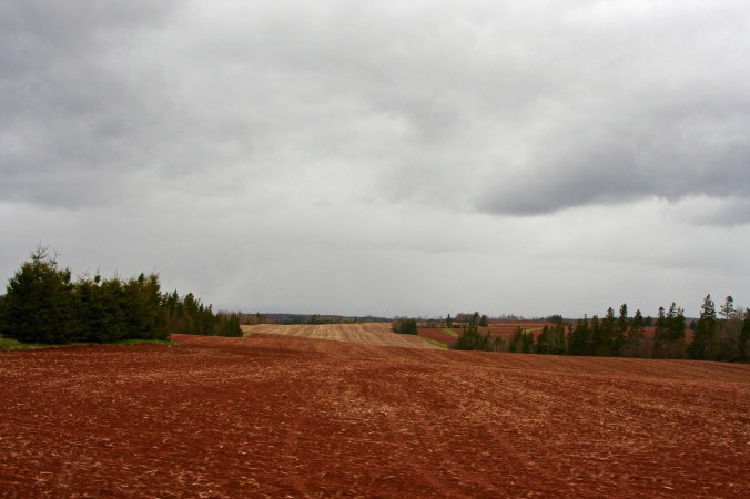 Prince Edward Island thrives off of its small farms where crops such as potatoes are raised. The island is noted for its red soils.