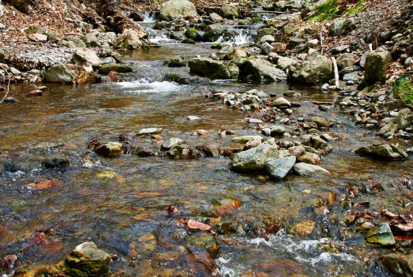 And this creek burbled along beside the cottage.
