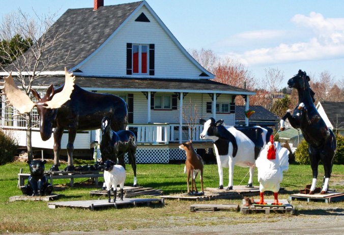 Peggy and I found this unique menagerie on our way to the ferry in 