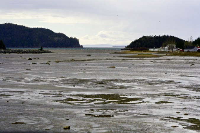 And views of the river as seen on the other side of this mud flat.