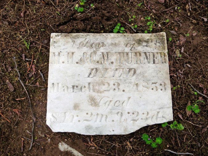 Once again found, a number of tombstones were on the ground, covered my the myrtle.