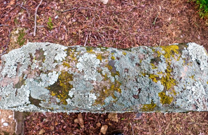 The top of this tombstone was covered with lichens that spoke of its gold rush era age.