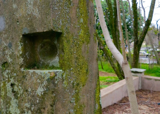 It was behind this tombstone with its secret hiding place where Tickle, the family Cocker Spaniel, had found something to dig up.
