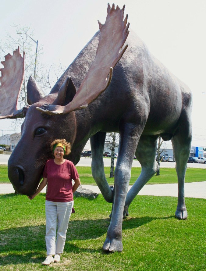 Large moose culture found in Hearst, Ontario Canada.