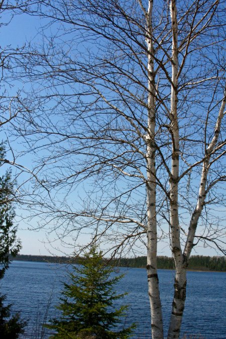 Bear Lake in Ontario Canada along Trans-Canada Highway 11.