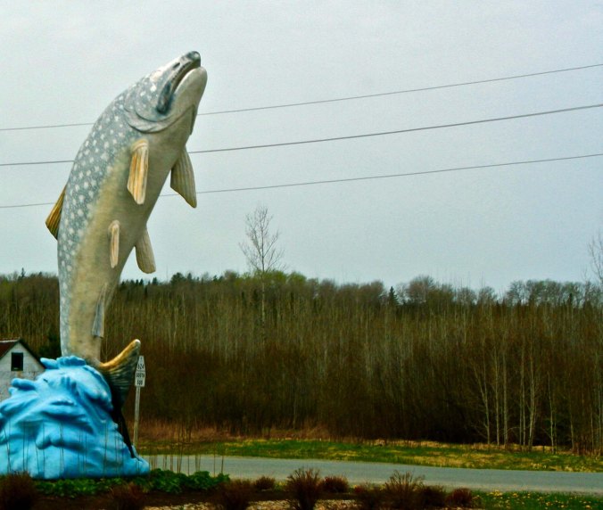 Lake Trout Sculpture in Larder Lake, Ontario Canada.