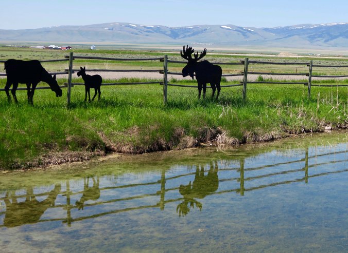 Wood cutouts of wild animals in Sulphur Springs, Montana.