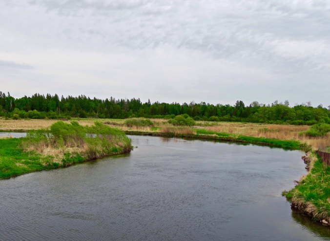 A view of the Mississippi River as it looks in Northern Minnesota.
