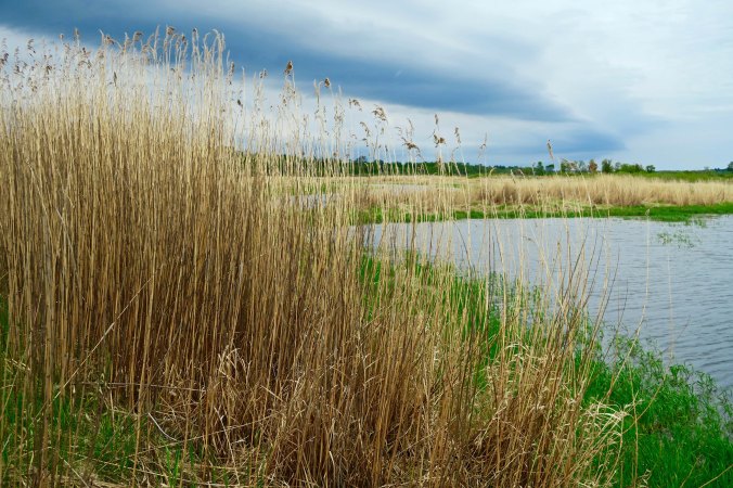 Another view of the Mississippi in Minnesota.