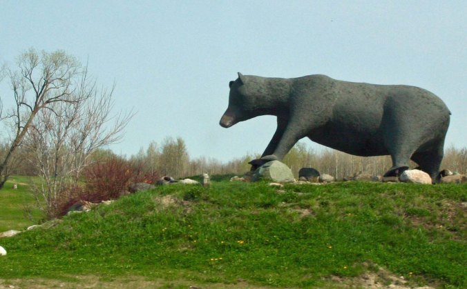 Large black bear sculpture found in Kapuskasing, Ontario Canada