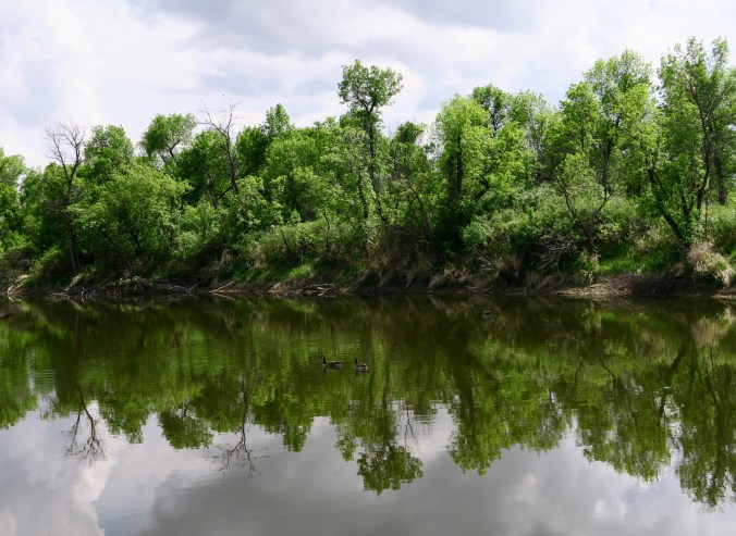 This is the pond with the geese in it that I featured at the top of the blog.