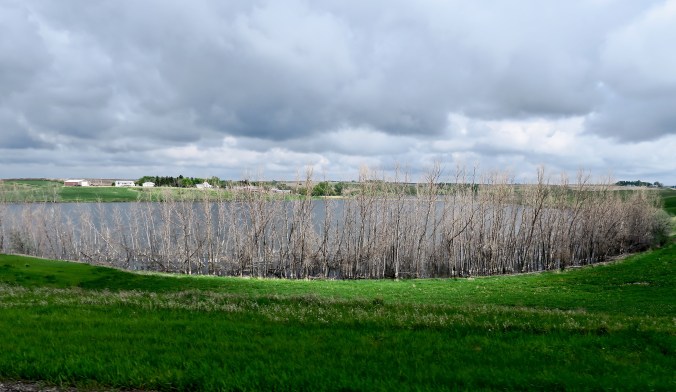 Another small lake we found along Highway 2.