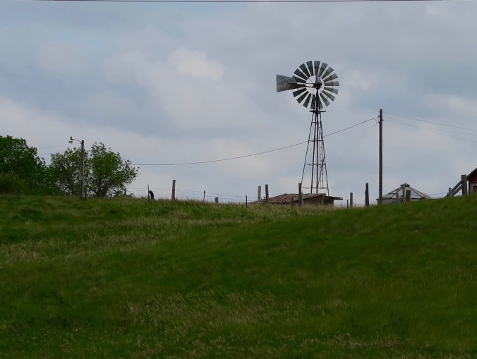 As I travelled west, ranching became more prevalent. Windmills are symbols of the West.
