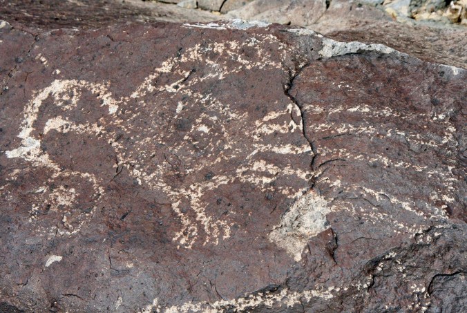 Wow, we are so pretty!