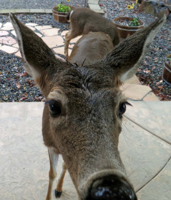 Come on! I know you are in there. 