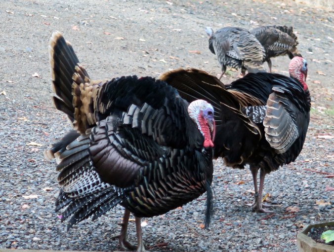 Really, can you think of anyone more beautiful than we are?