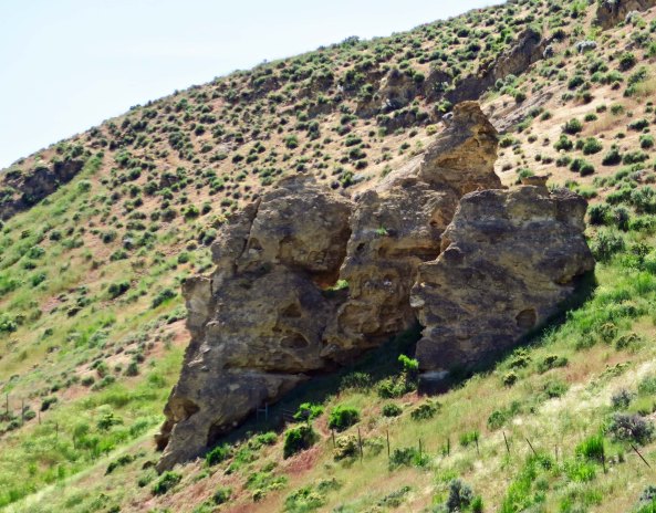 More Nevada rocks.
