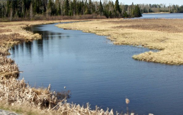 A stream along the Trans-Canada Highway in Ontario. My rivers ranged from the mighty Mississippi to mere trickles.
