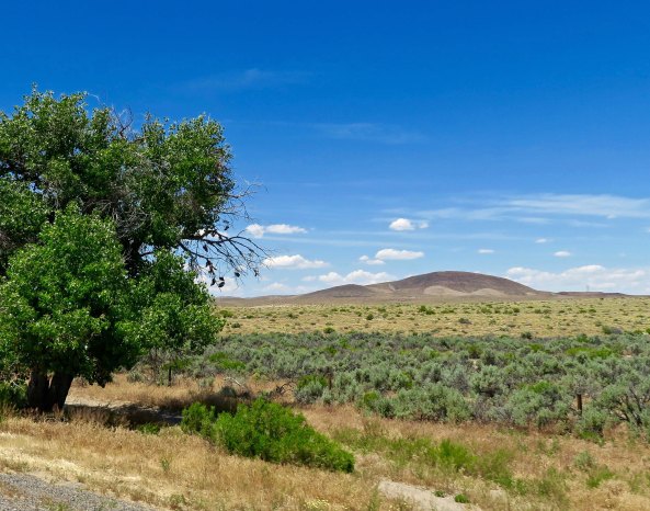 Highway 50 between Fallon and Carson provided a gentler view of the desert.