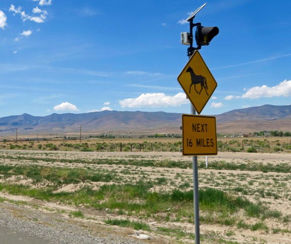 And signs to watch out for wild horses.