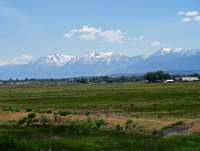 As I entered the Carson Valley, the Sierra Nevada Mountain Range loomed up before me. I was approaching the end of my journey. I was approaching home.
