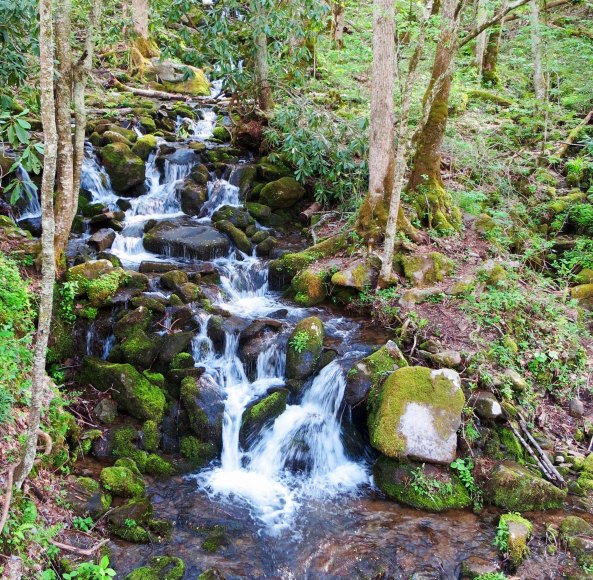 I found this small waterfall beside the road in the Great Smokey Mountains. Dozens, maybe of hundreds of such falls graced my trip.