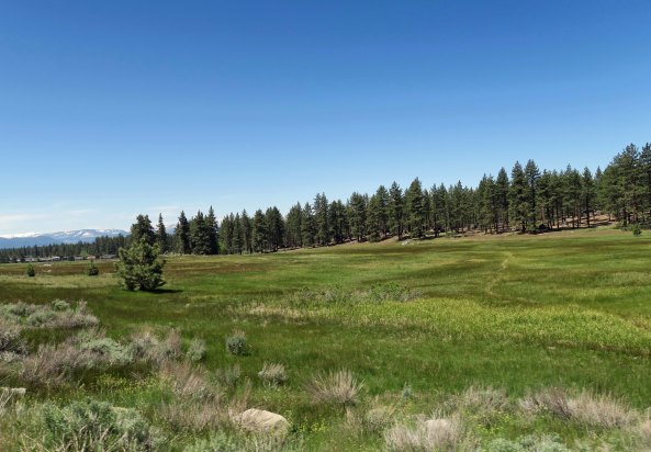 The Casinos started a quarter of a mile beyond this lovely meadow!