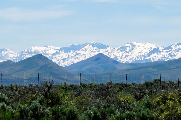 Another view. Nevada is part of the Great Basin and is made up of several ranges with basins between. During the winter and into early summer, these ranges are often covered with snow.