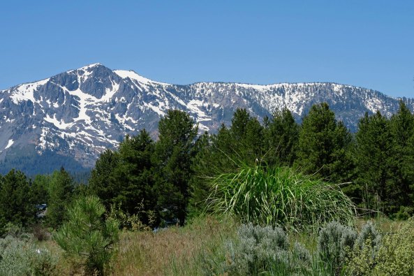 I feel a deep attachment to the Sierra's on the west side of Lake Tahoe, having backpacked up and down and across them many, many times over the years. I feel more at home there than I ever have in any city.
