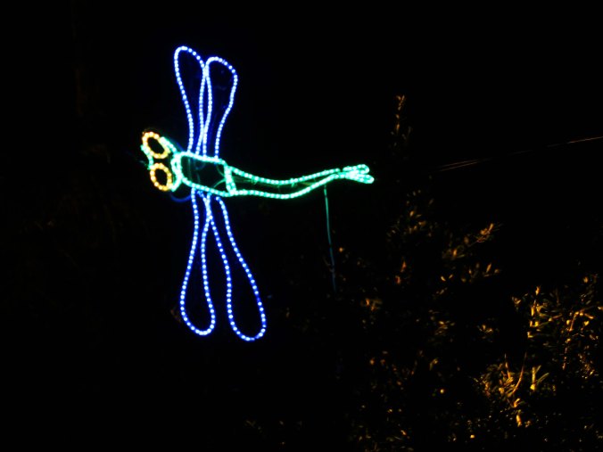 Dragonfly at Shore Acres Park.