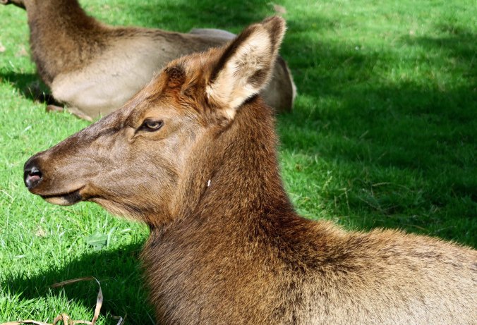 So we will end this short post with a close-up.