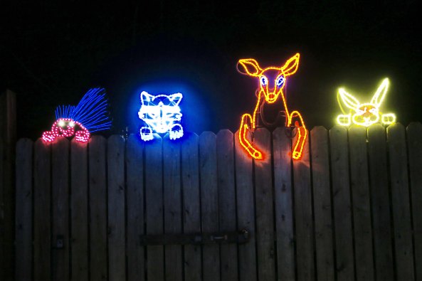 Animals look over fence at Oregon's Shore Acres' State Park Holiday of Lights display.