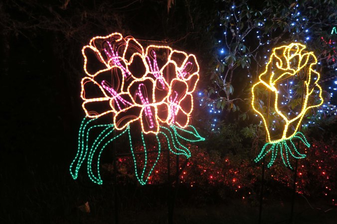 More flowers at Oregon's Shore Acres' State Park Holiday of Lights display.