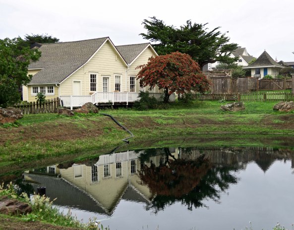 Pond reflection shot in the community of Mendocino on California's north coast.
