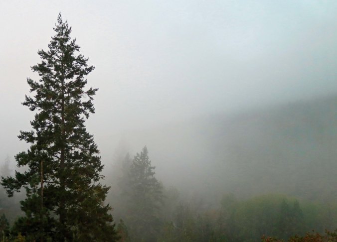 The mood changes dramatically when the mountain mists roll in. 
