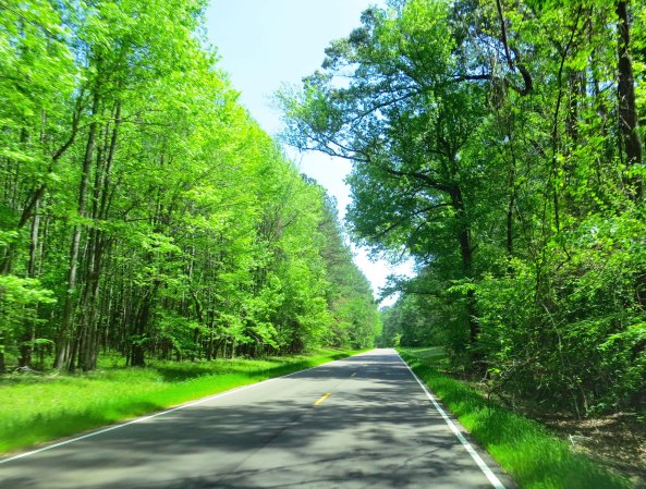 The Natchez Trace and the Blue Ridge Highway are both beautiful. It's the Trace here. An added advantage of both National Park highways is that no commercial traffic is allowed. Translate: I wasn't dodging 18-wheelers.