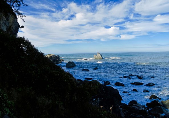 Patrick's Pt. State Park north of Eureka, California on Highway 101.