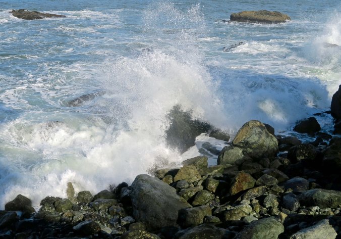 Inching my way back to where Peggy was, the ocean waved goodby.