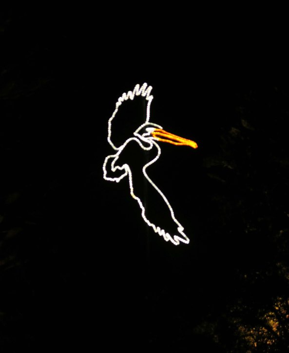 Pelican at Oregon's Shore Acres' State Park Holiday of Lights display.