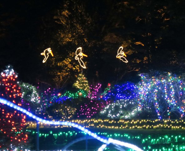 Pelicans at Oregon's Shore Acres' State Park Holiday of Lights display.