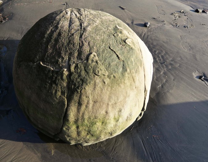 Concretion rock found in Sunset Bay on the Oregon Coast near Coos Bay.