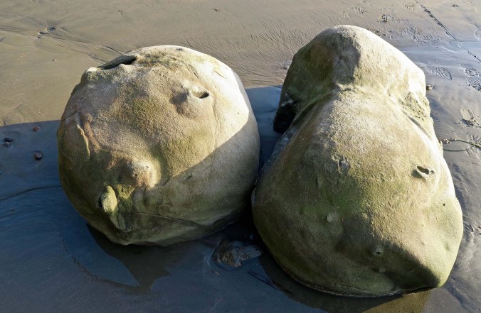 Concretions found on the beach of Sunset Bay on the Oregon Coast.