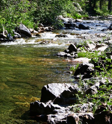 Five Lakes Creek in the Granite Chief Wilderness area behind Alpine Meadows ski area.