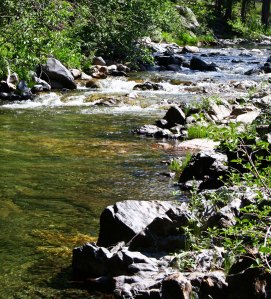 Five Lakes Creek in the Granite Chief Wilderness area behind Alpine Meadows ski area.