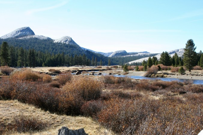 Tuolumne Meadows in the summer.