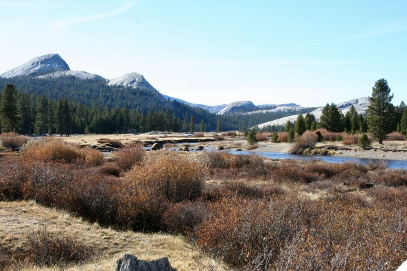 Tuolumne Meadows in the summer.